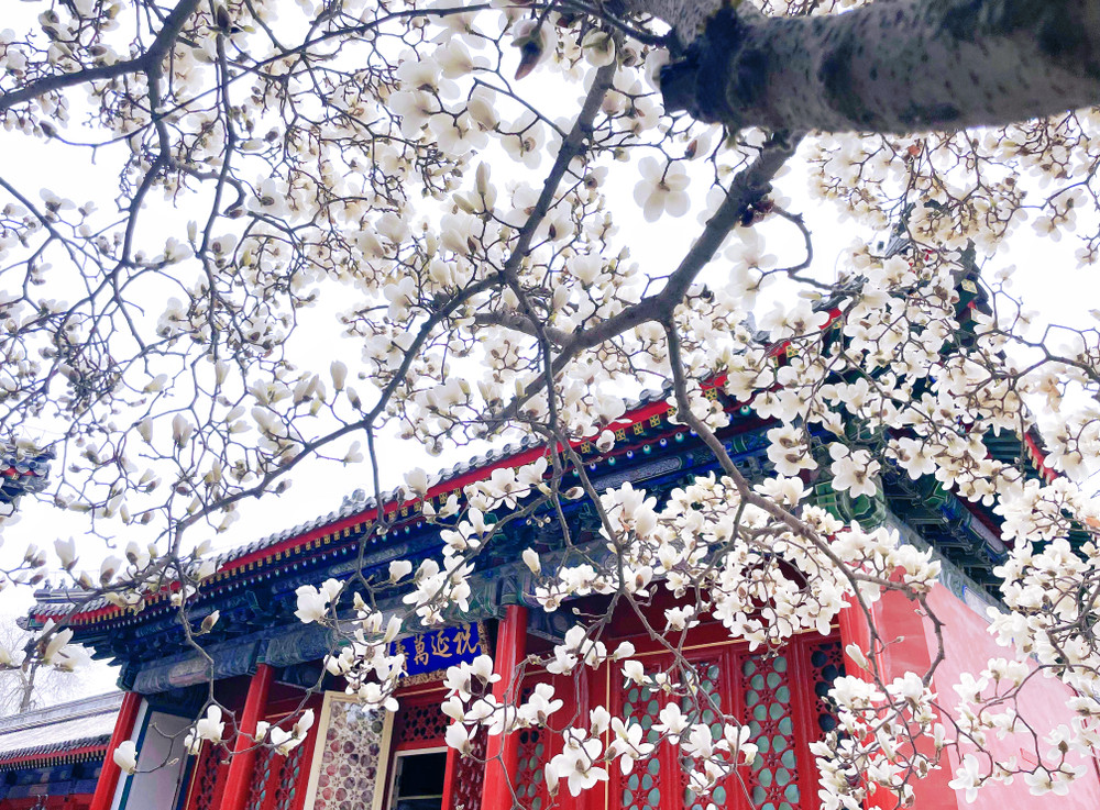 BẮC KINH – VẠN LÝ TRƯỜNG THÀNH – TỬ CẤM THÀNH - DI HOÀ VIÊN (TẾT)