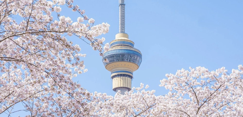 HÀNG CHÂU - Ô TRẤN - THƯỢNG HẢI - BẮC KINH