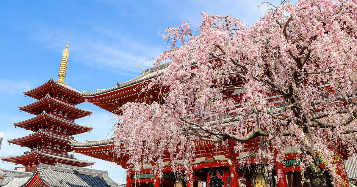 TOKYO - NÚI PHÚ SĨ - NAGOYA - KYOTO - OSAKA (6N5D)